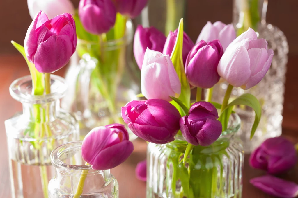 Trikiem, pomagającym zachować świeżość kwiatów, jest wlanie do wazonu odrobiny wybielacza