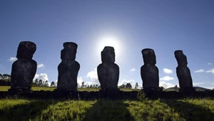 Moai mogą zniknąć z powierzchni ziemi