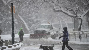 "Miejscami zawieje i zamiecie śnieżne". Synoptycy ostrzegają 