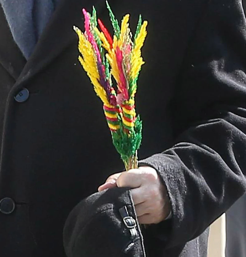 Palemka Jarosława Palemka Jarosława