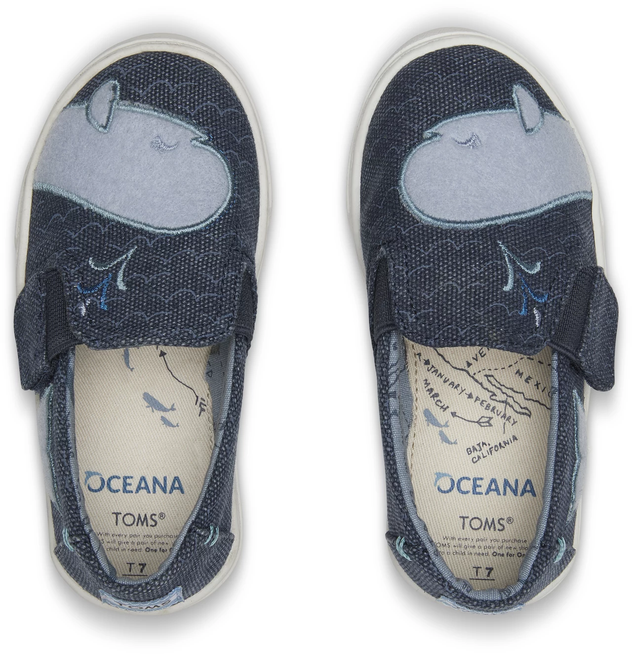 Kolekcja TOMS dla Oceana Kolekcja TOMS dla Oceana