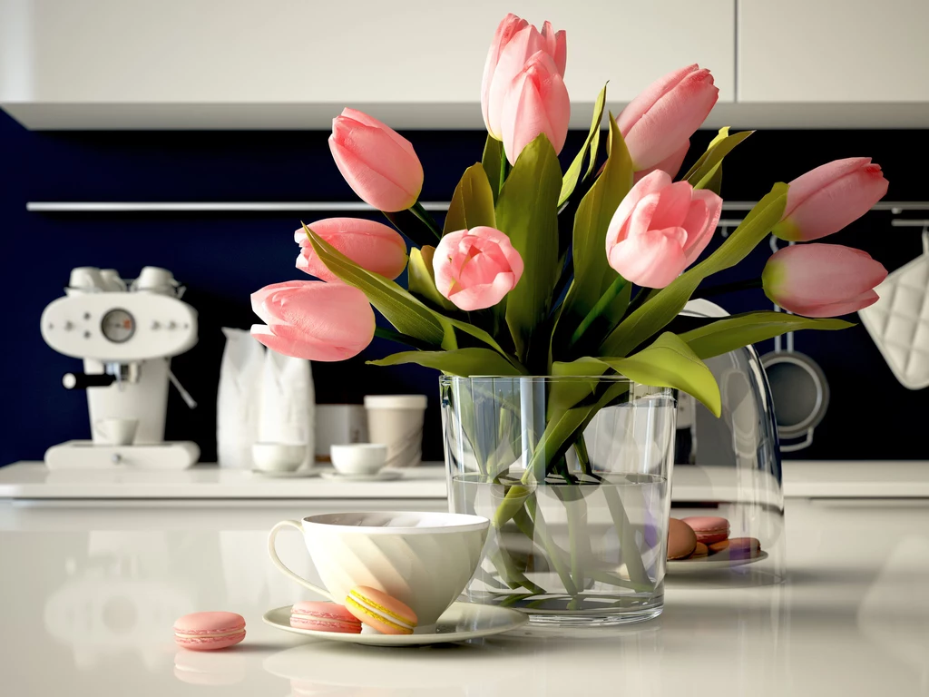 Tulipany wymagają łagodnej i konsekwentnej pielęgnacji