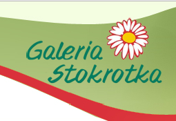 Galeria Stokrotka