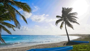 Cozumel - plaże, rafy, cuda natury i drinki