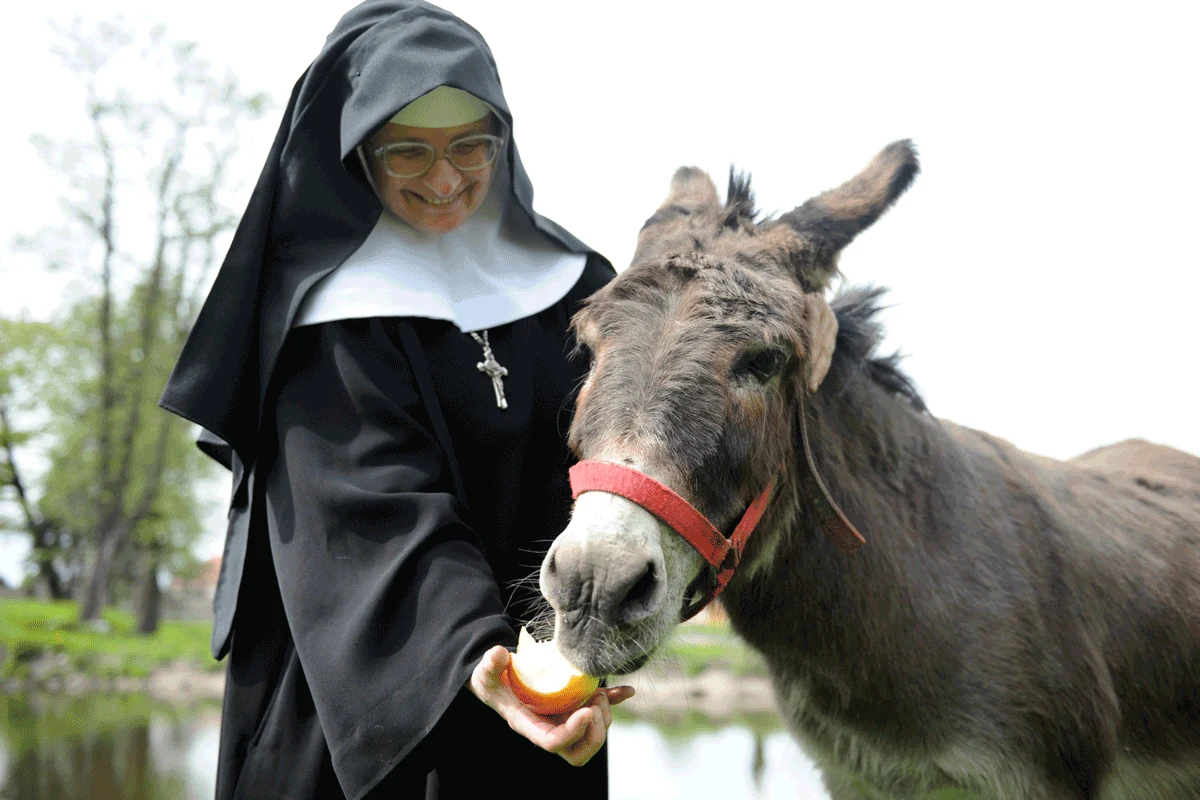 Ksieni Stefania Polkowska, fot. Bogdan Pasek Ksieni Stefania Polkowska, fot. Bogdan Pasek
