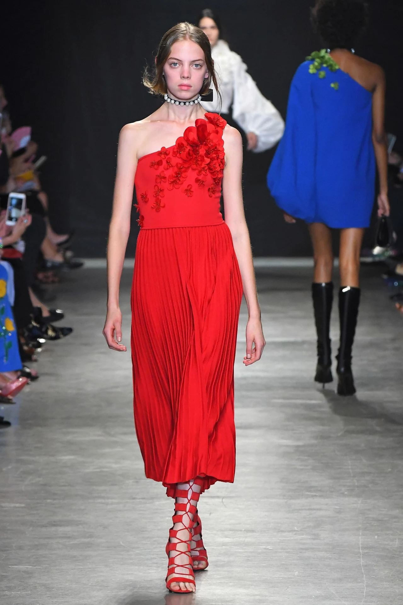Andrew GN