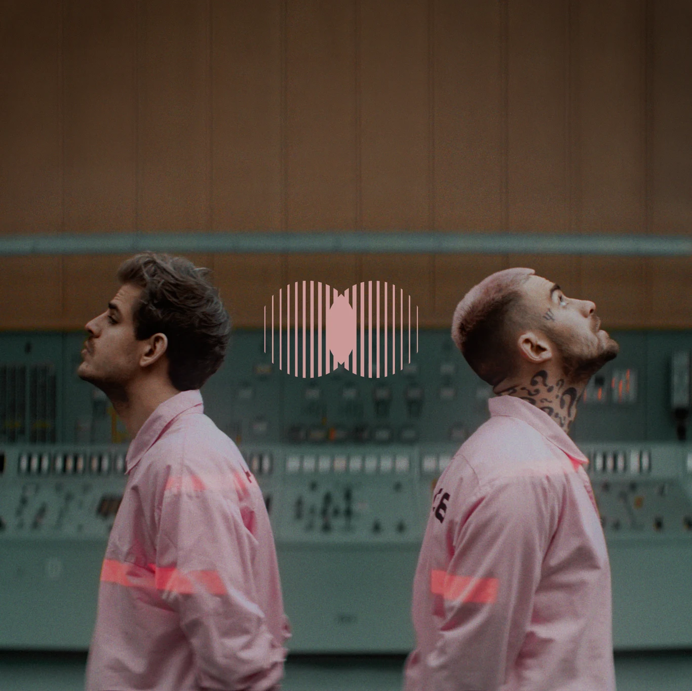 Taconafide podbija sieć Taconafide podbija sieć