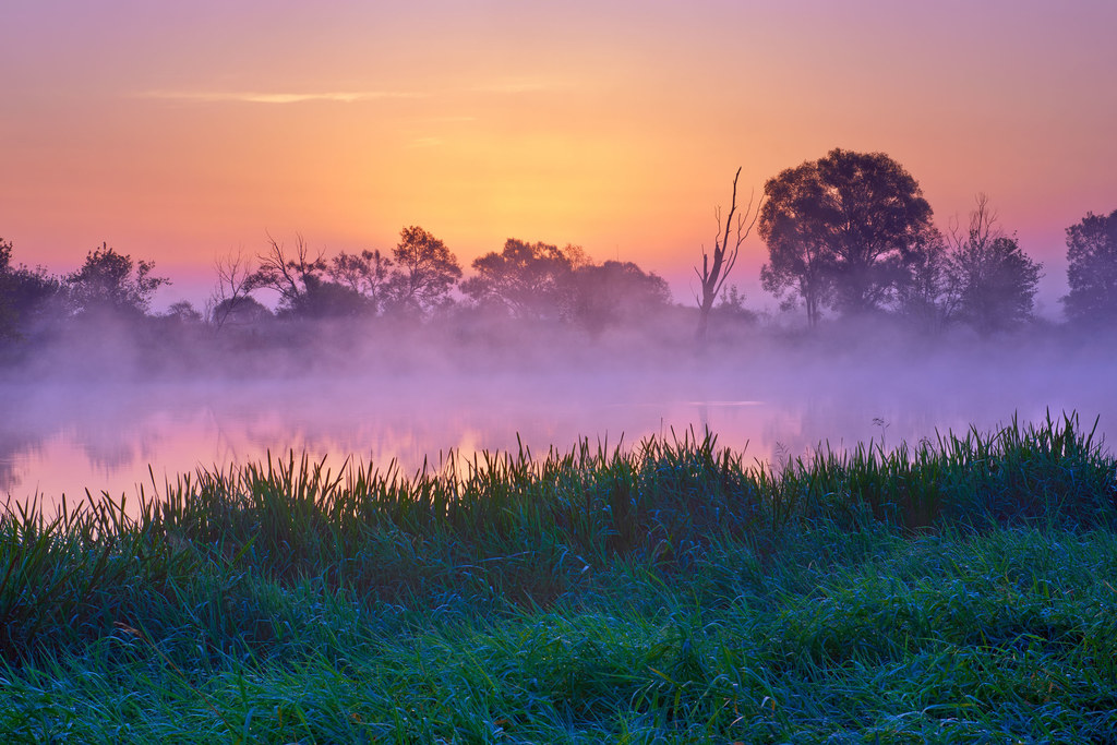 Narew zaskakuje o każdej porze roku