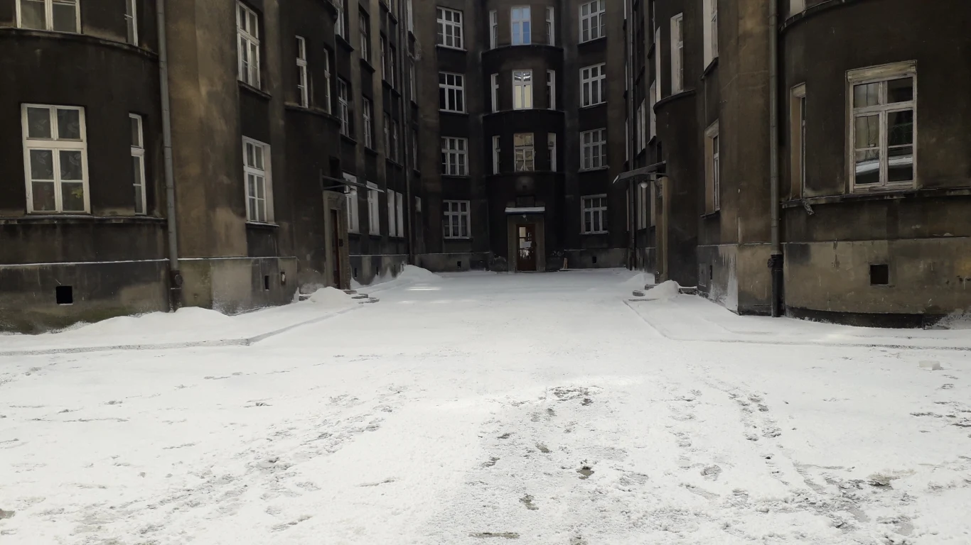 Sztuczny śnieg na planie filmu Agnieszki Holland "Obywatel Jones".