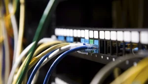 Przerwany kabel pozbawił Internetu kilka afrykańskich państw