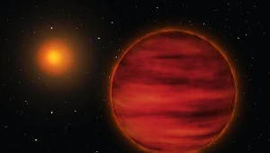 Gwiazda Gliese 710 cały czas zbliża się do Ziemi 