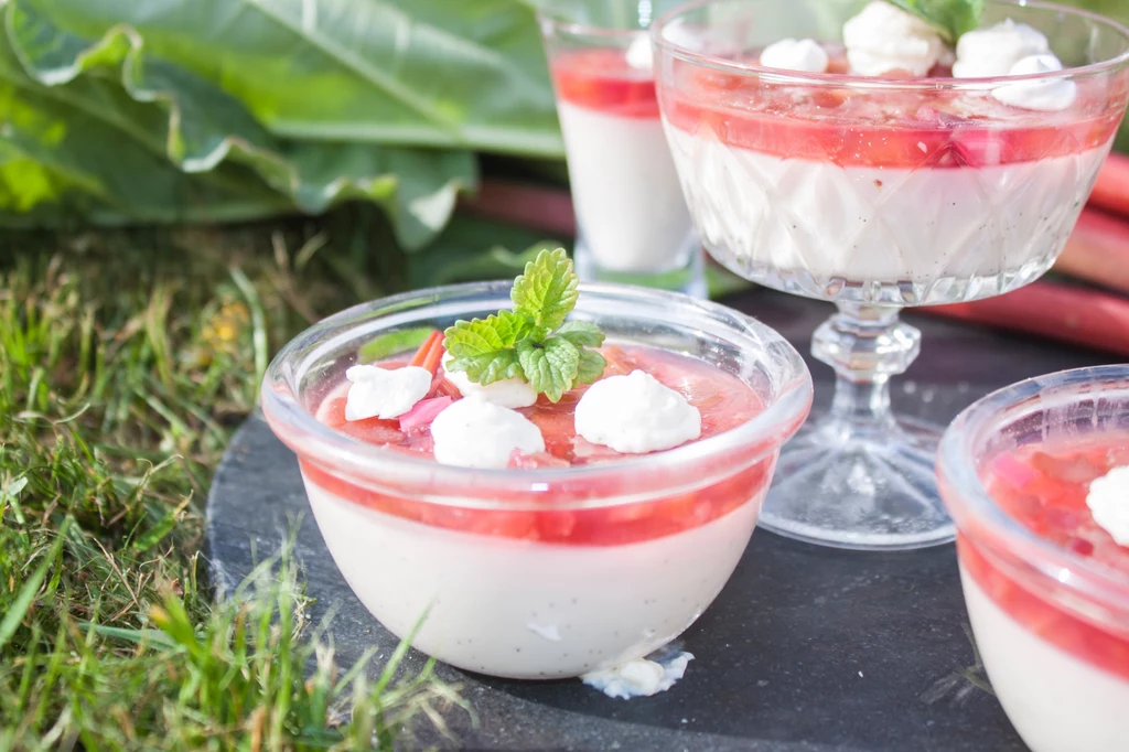 Panna cotta z rabarbarem