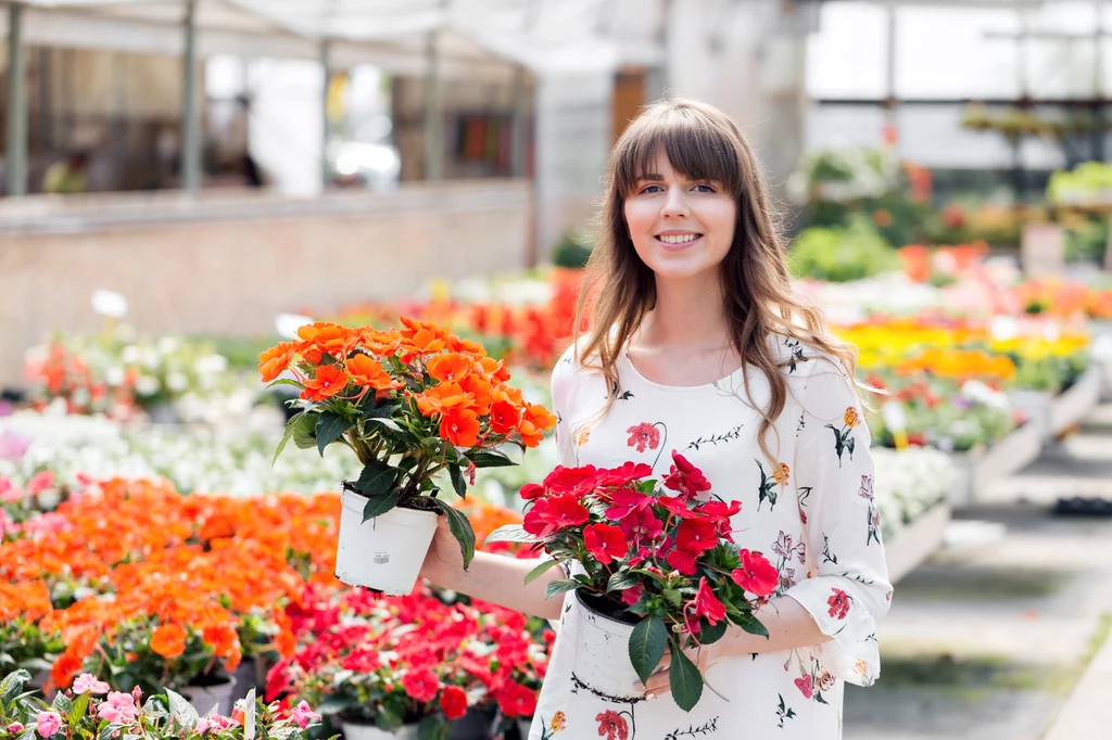 Sprawdź, na co zwrócić uwagę kupując kwiaty z marketu