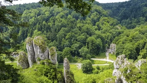 Wiosenne atrakcje  w Dolinie Prądnika