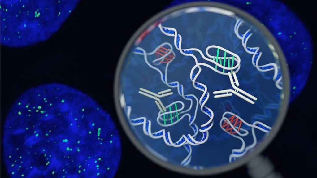 DNA wciąż skrywa wiele tajemnic