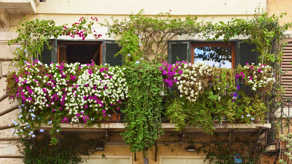 Na balkon południowy  wybieraj doniczki w jasnych kolorach. Niewielki balkon zamień w rajski ogród