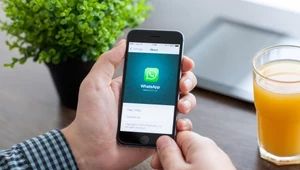 WhatsApp Pay dostało zielone światło w Indiach