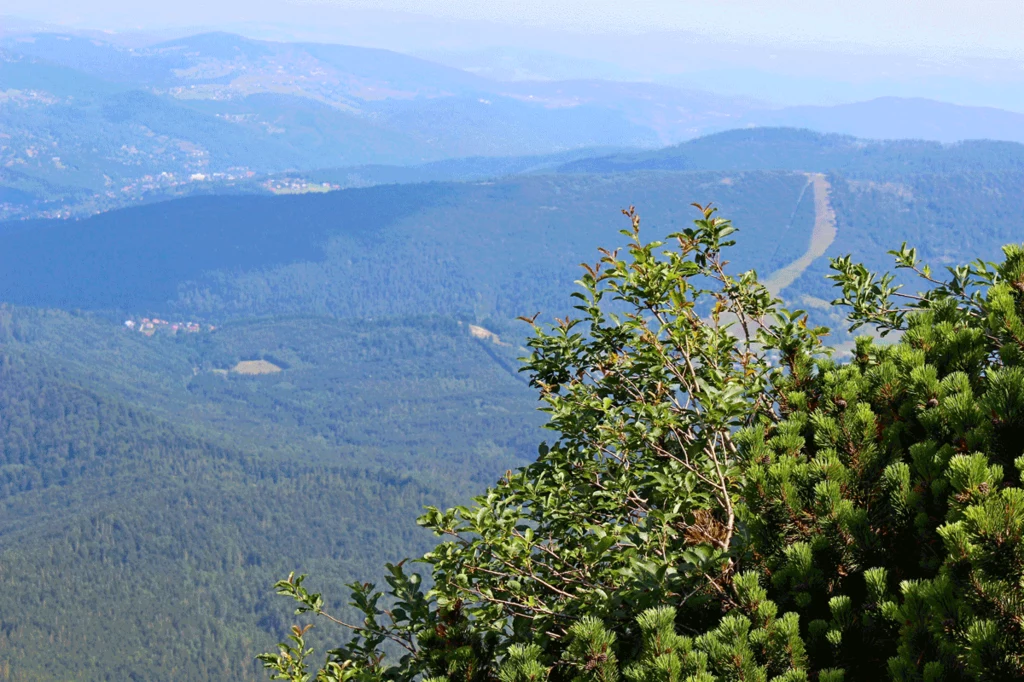 Widok z Babiej Góry