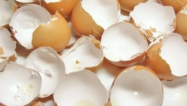 Skorupki od jajek to dobry nawóz do pelargonii. 