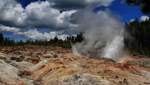 Zwiększona aktywność słynnego gejzeru w Parku Yellowstone