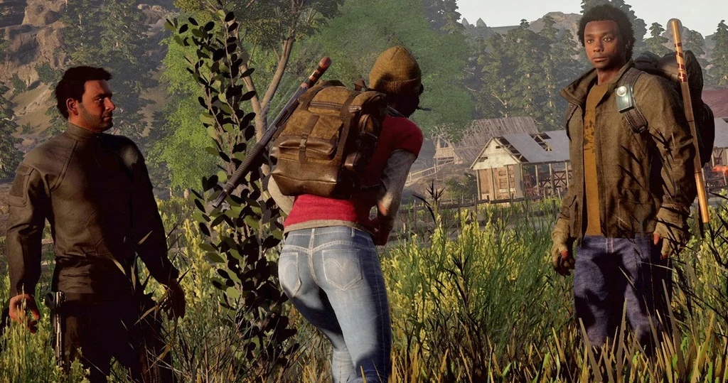 State of Decay