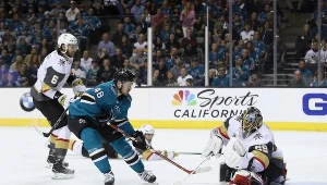 Marc-Andre Fleury w akcji