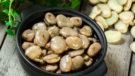 Gotuj bób tylko w ten sposób, a nie doświadczysz wzdęć.