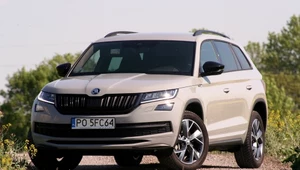 Używana Skoda Kodiaq (2016-2023). Silniki, usterki, opinie, ceny