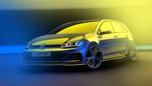 Volkswagen Golf GTI TCR. Najmocniejsze GTI