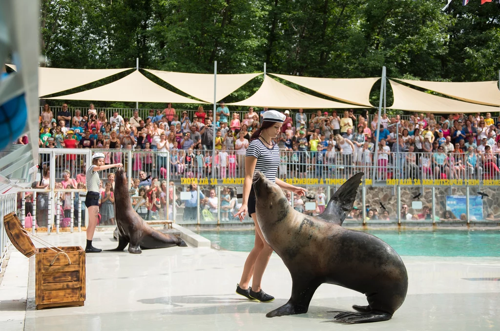 Nyiregyhaza: Oceanarium w zoo