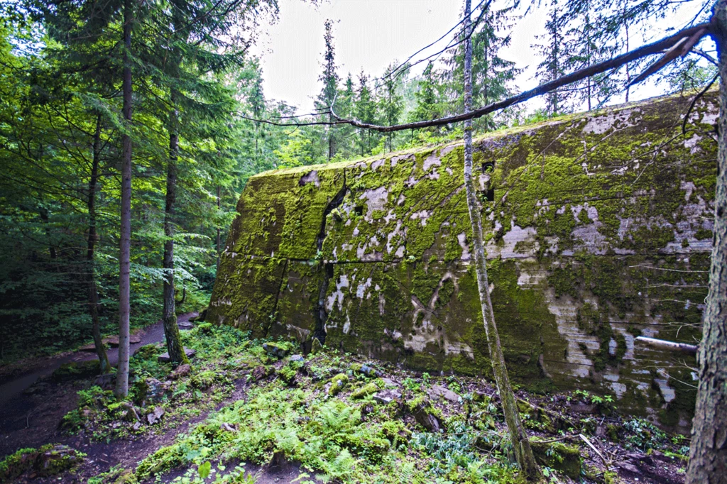 Wilczy Szaniec to zamaskowane miasteczko w lesie - 200 budynków: schrony, baraki, 2 lotniska, elektrownia, dworzec kolejowy, urządzenia klimatyzacyjne, wodociągi, ciepłownie, dwie centrale dalekopisowe.

