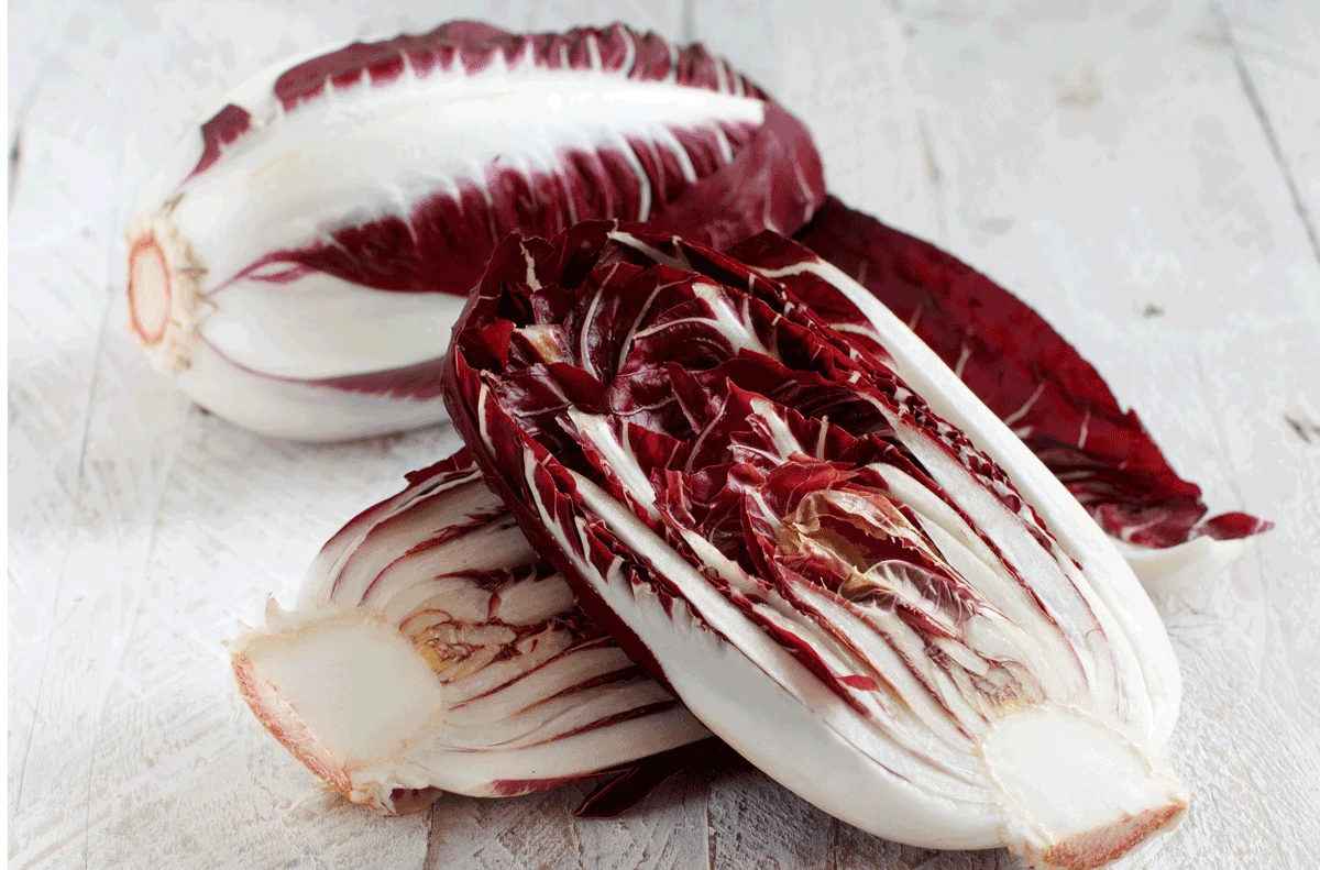 Radicchio Radicchio