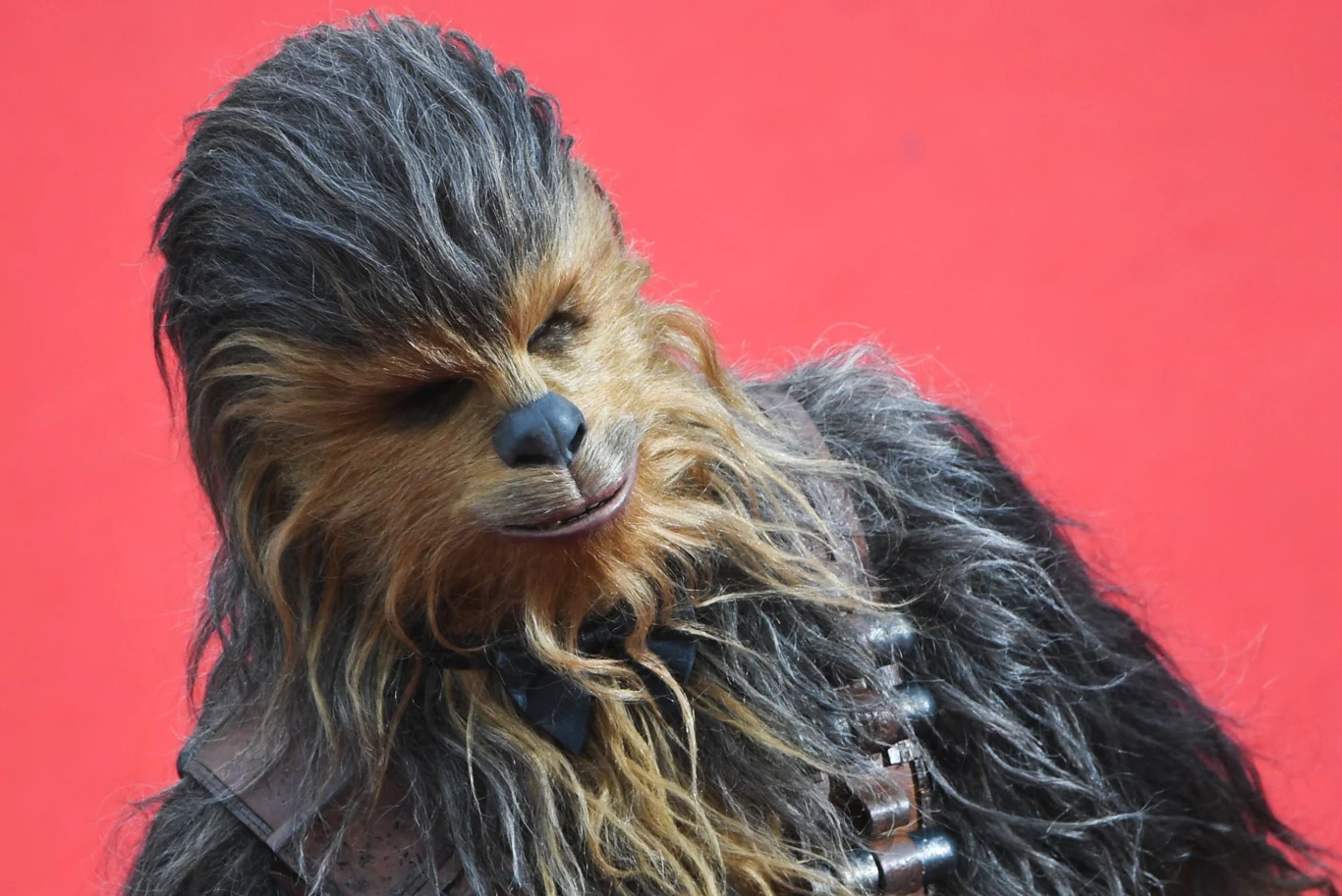 Chewbacca w Cannes