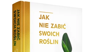 Jak nie zabić swoich roślin, Nik Southern