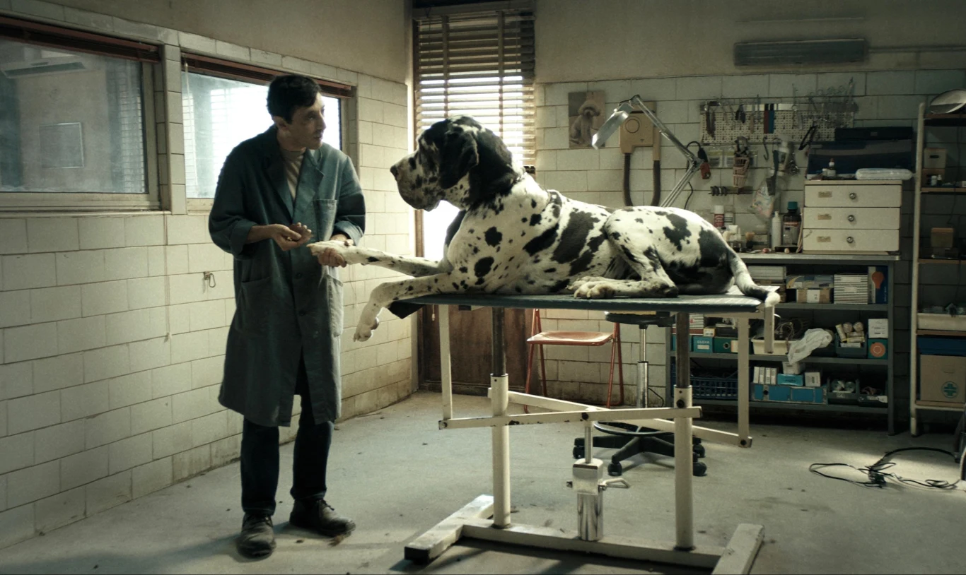 Marcello Fonte w scenie z filmu "Dogman" Marcello Fonte w scenie z filmu "Dogman"