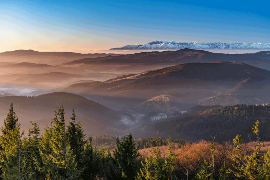 Gorce, widok na Tatry