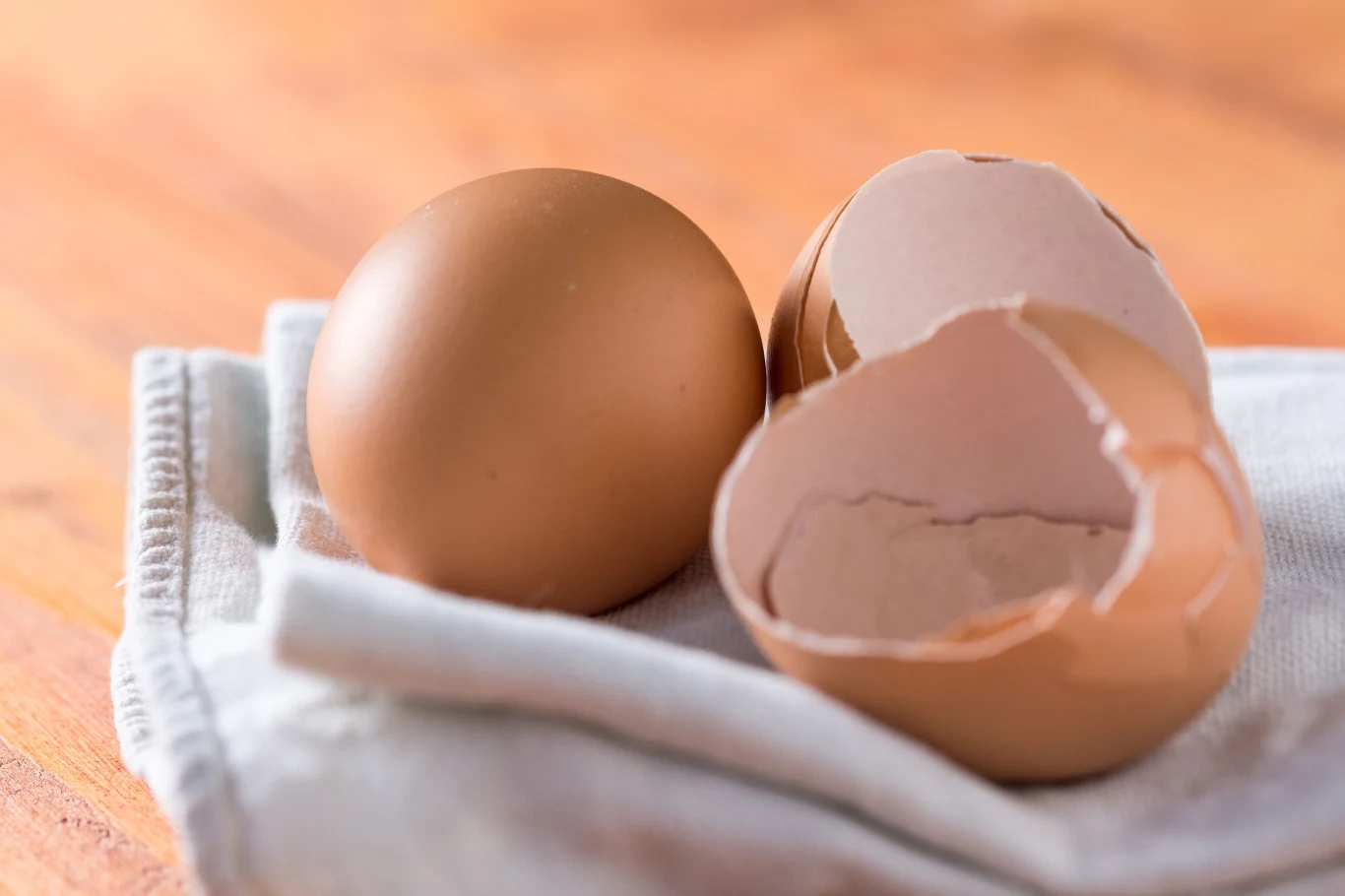 Zmielone skorupki jajek mają wiele zastosowań