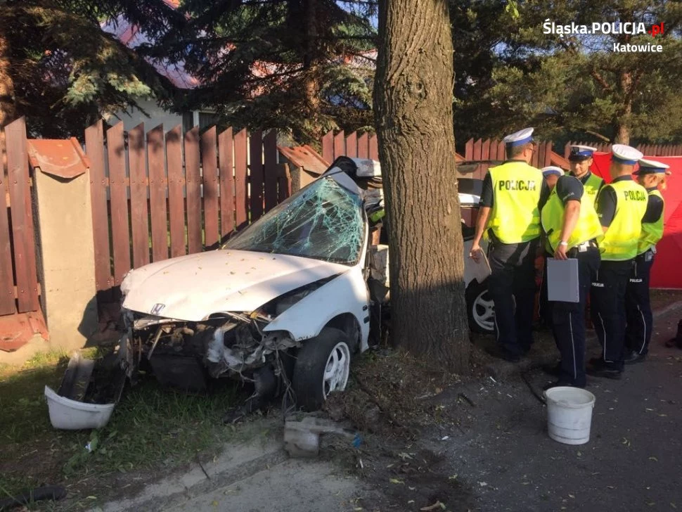 Samochód uderzył bokiem, drzwiami kierowcy w drzewo