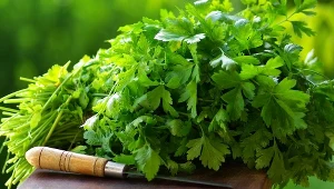 Kolendra jest używana jako przyprawa w wielu potrawach.