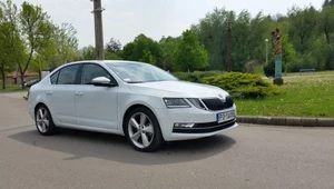 Skoda Octavia 2.0 TDI - świetna na dłuższe trasy