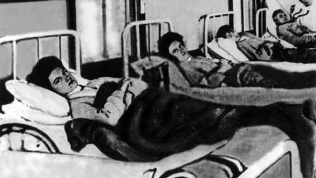 Mary Mallon w szpitalnym łóżku (domena publiczna)