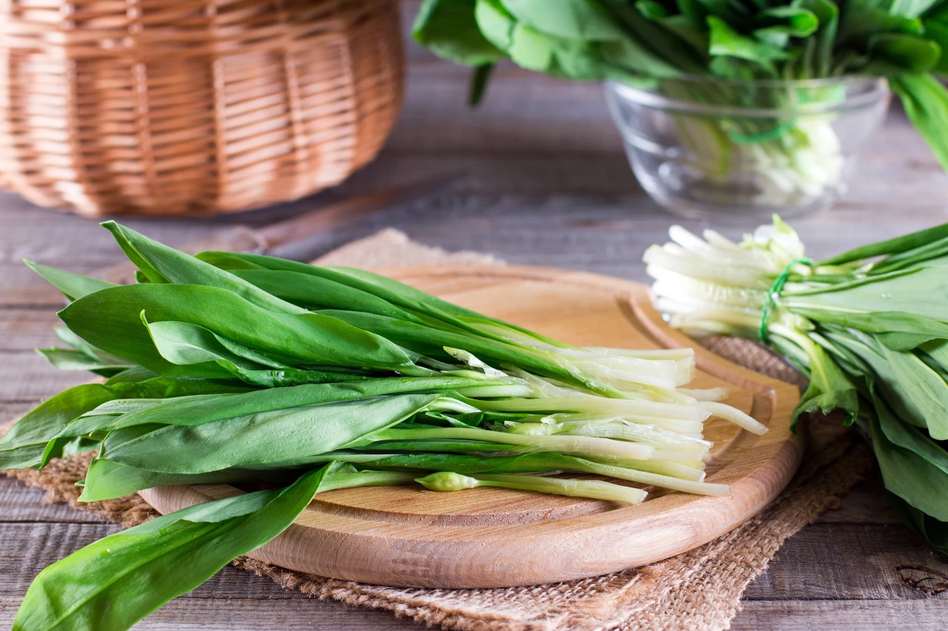 Czosnek niedźwiedzi