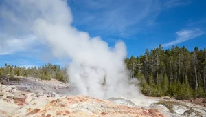 Tajemnicze erupcje gejzeru w Yellowstone