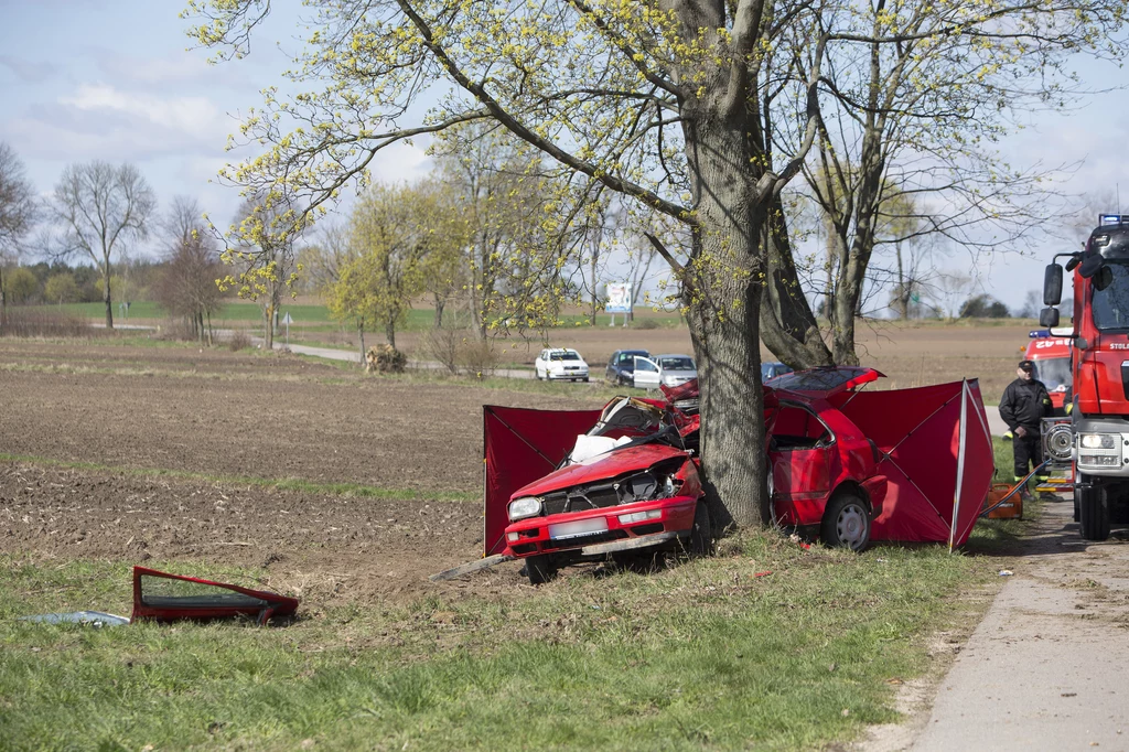 Przydrożne drzewa bywają niebezpieczne