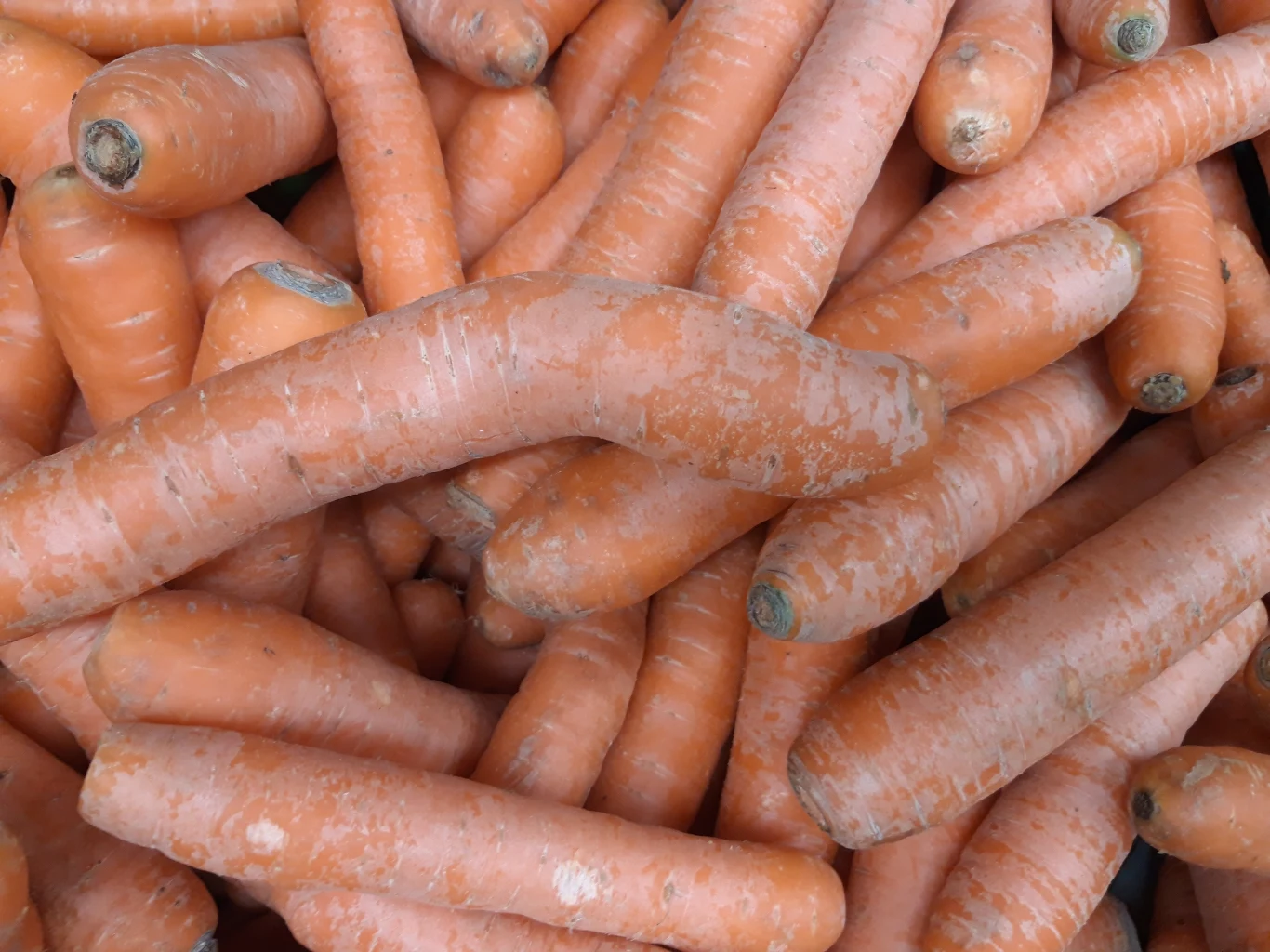 Przykładowe zdjęcie zrobione Samsungiem Galaxy A6 Przykładowe zdjęcie zrobione Samsungiem Galaxy A6