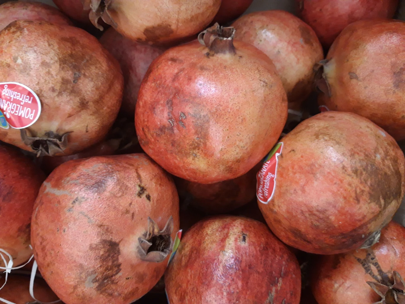 Przykładowe zdjęcie zrobione Samsungiem Galaxy A6 Przykładowe zdjęcie zrobione Samsungiem Galaxy A6