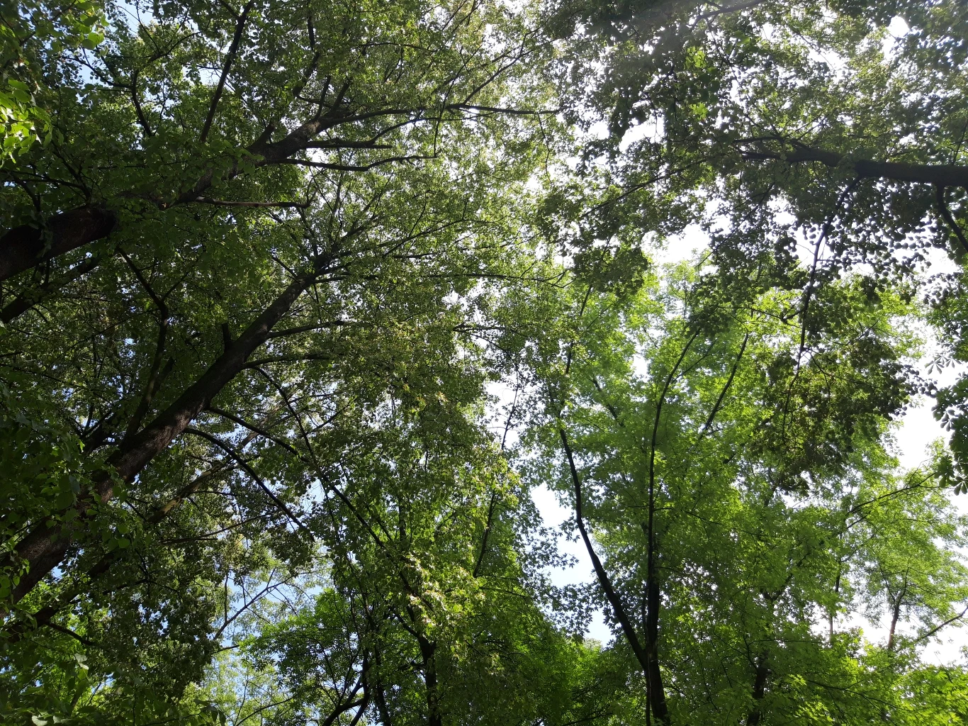 Przykładowe zdjęcie zrobione Samsungiem Galaxy A6 Przykładowe zdjęcie zrobione Samsungiem Galaxy A6