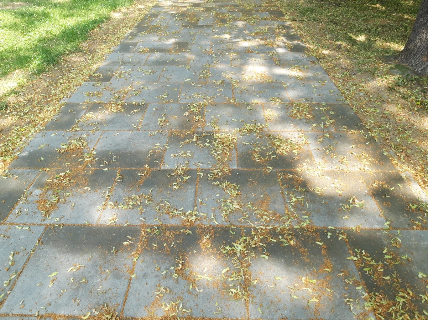 Przykładowe zdjęcie zrobione Samsungiem Galaxy A6 Przykładowe zdjęcie zrobione Samsungiem Galaxy A6