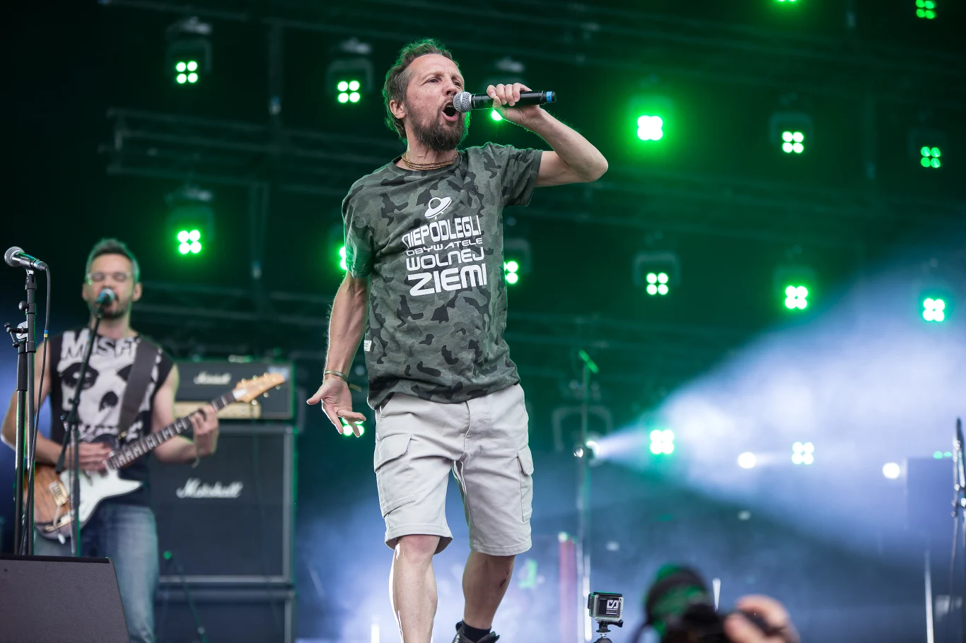 Zobacz zdjęcia z koncertu "Punk Alive" podczas Tauron Life Festival 2018 - Smalec (Ga-Ga/Zielone Żabki)