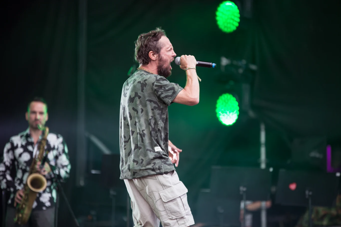 Zobacz zdjęcia z koncertu "Punk Alive" podczas Tauron Life Festival 2018 - Smalec (Ga-Ga/Zielone Żabki)